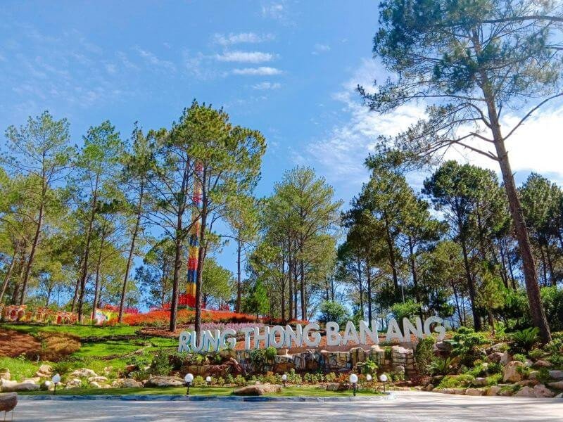 Tổng hợp kinh nghiệm du lịch rừng thông Bản Áng - Mộc Châu