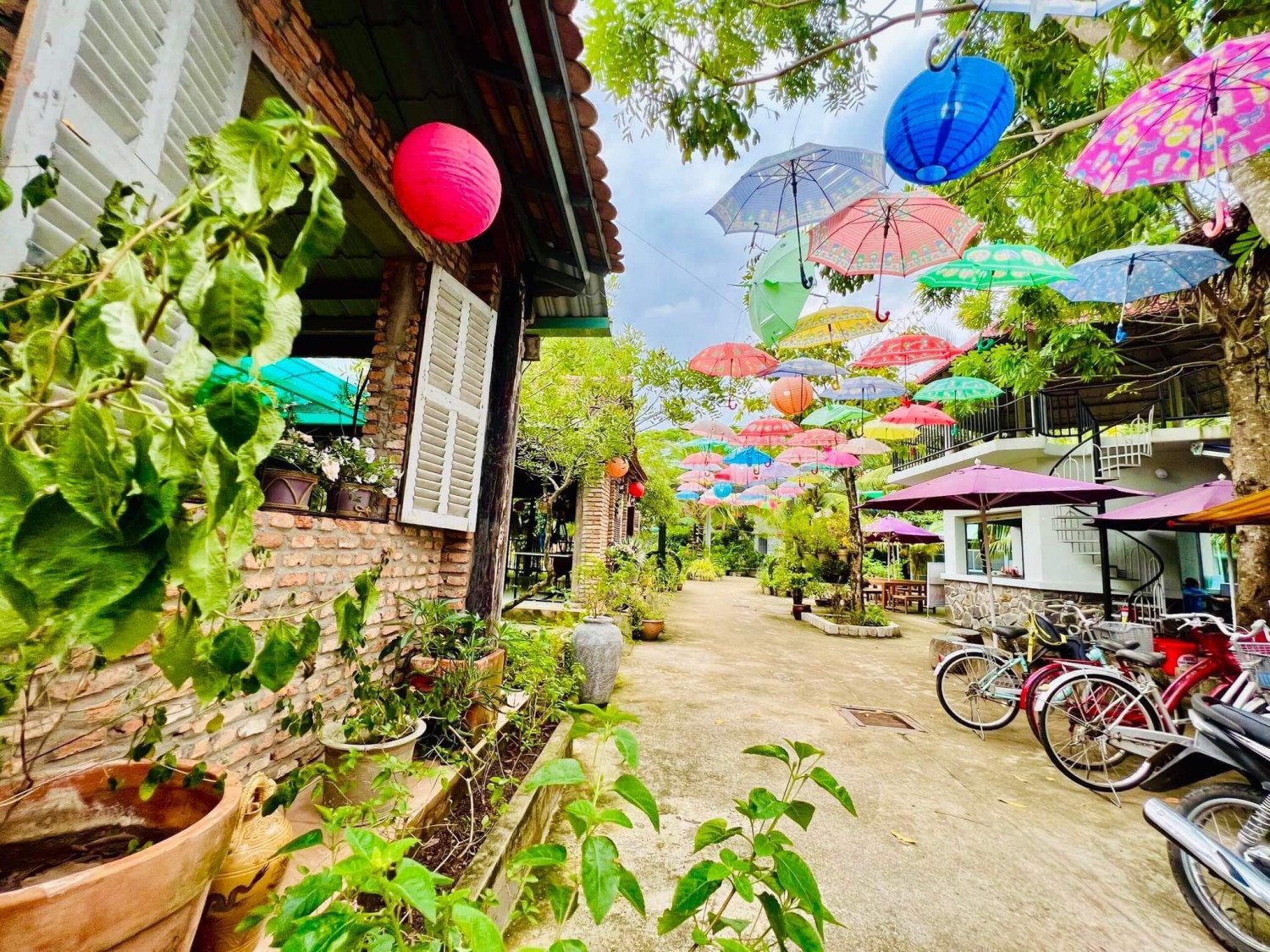 Khám phá khu du lịch sinh thái Song Long - một "miền Tây" giữa quận 9