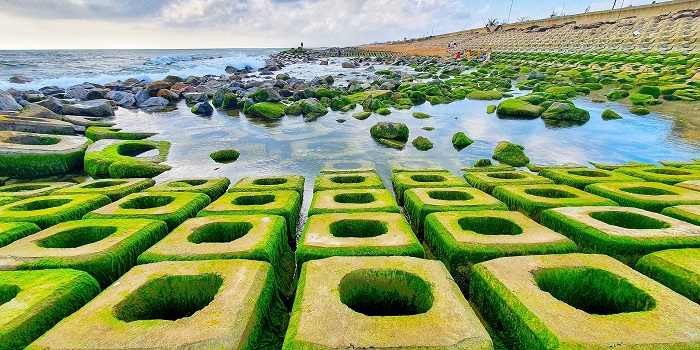 Chia sẻ kinh nghiệm Checkin tại Kè chắn sóng Xóm Rớ Phú Yên