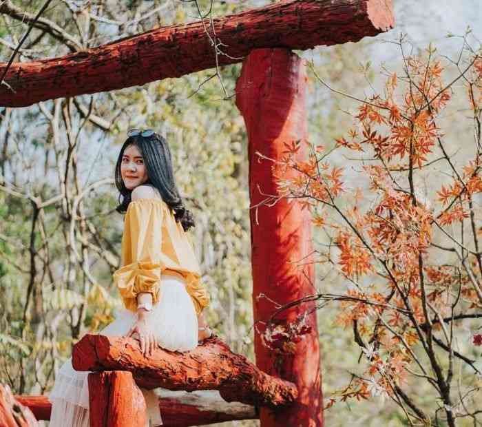 Khám phá Khu du lịch Troh Bư – Địa điểm ngắm lan rừng có 1-0-2