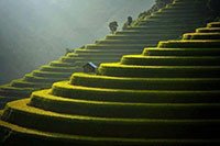 Review Mù Cang Chải - mảnh đất "đi dễ - khó về" tại Yên Bái