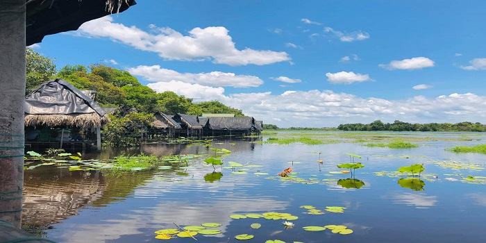 Khu du lịch sinh thái Trằm Trà Lộc có gì mà du khách thích mê