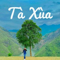 Kinh nghiệm đi Tà Xùa 2 ngày 1 đêm chi tiết nhất dành cho bạn