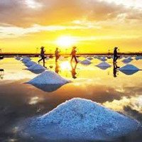 Kinh nghiệm du lịch Cánh Đồng Muối Sa Huỳnh 2022