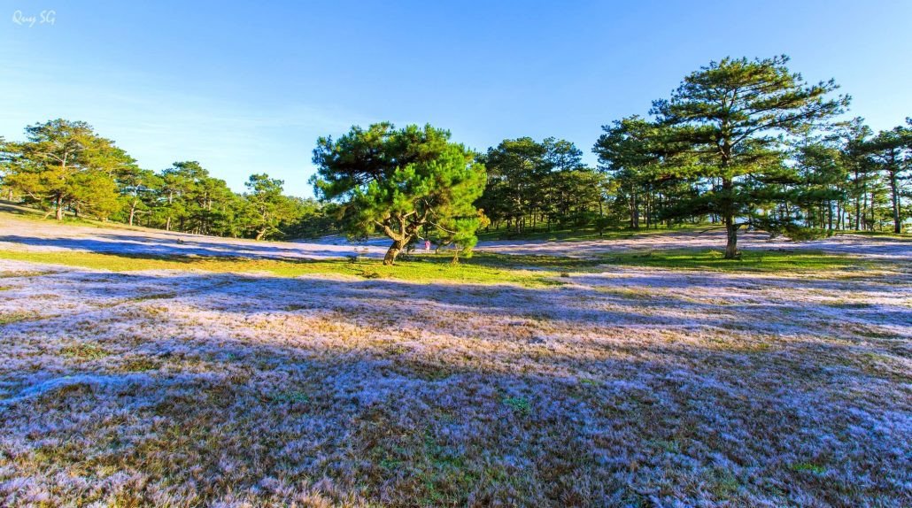 Kinh nghiệm du lịch Đà Lạt tháng 10 –  Mùa thu rực rỡ