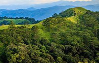 Khám phá và trekking tại rừng Tà Năng - Phan Dũng