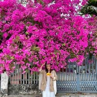 Review khám phá Tây Nguyên 5 ngày 4 đêm cực chi tiết