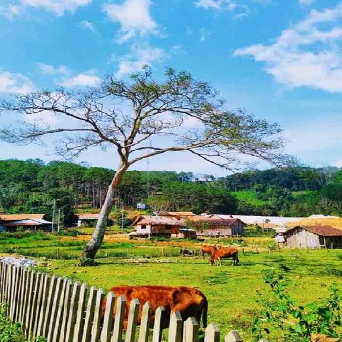 Ghé KonPring – Một bức tranh dịu dàng và bình yên