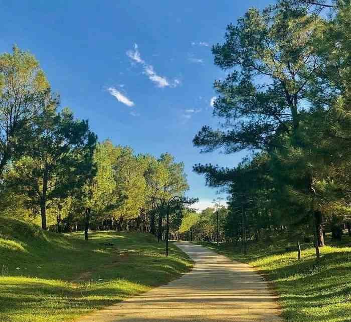 Lăng Gia Long – Nét thơ Đà Lạt ngay tại Huế