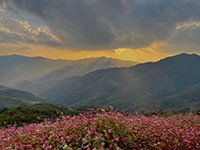 Khám phá Lô Lô Chải - Ngôi làng cổ tích tại Hà Giang