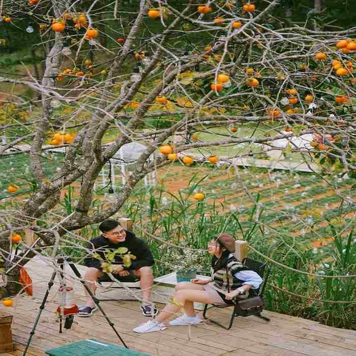 Makakamp Coffee Đà Lạt – Cà phê kết hợp cắm trại cực chill cuối tuần