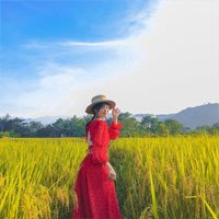 Check in Mường Lò Yên Bái: Vẻ đẹp của vùng đất Nghĩa Lộ