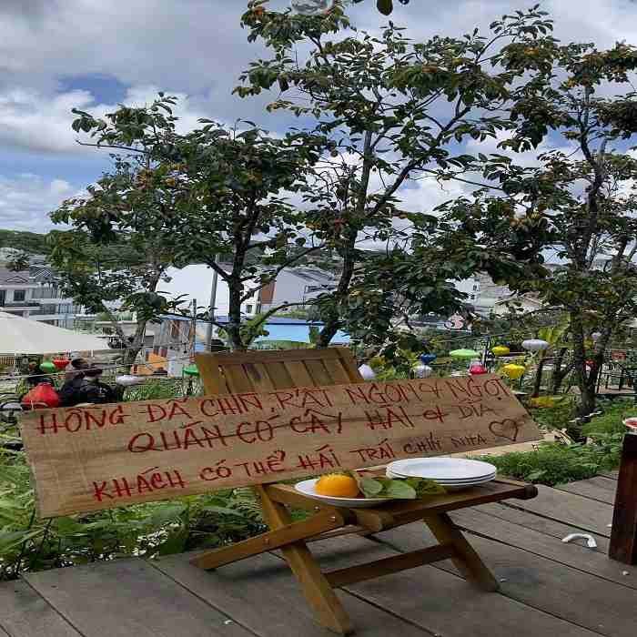 NEAR – Cà phê Đà Lạt mời khách ăn hồng Tháng 10