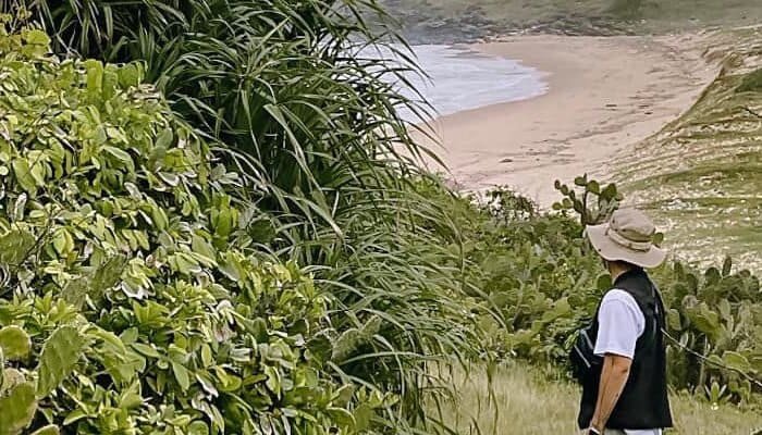 Phú Yên mùa biển gọi và 6 điều cần biết