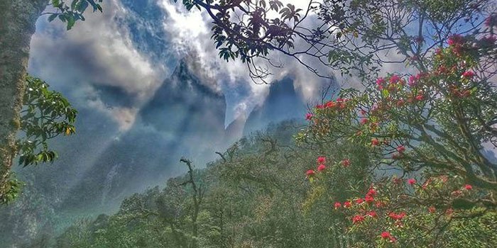 Chinh phục núi Ngũ Chỉ Sơn - Ngọn núi đẹp nhất Tây Bắc