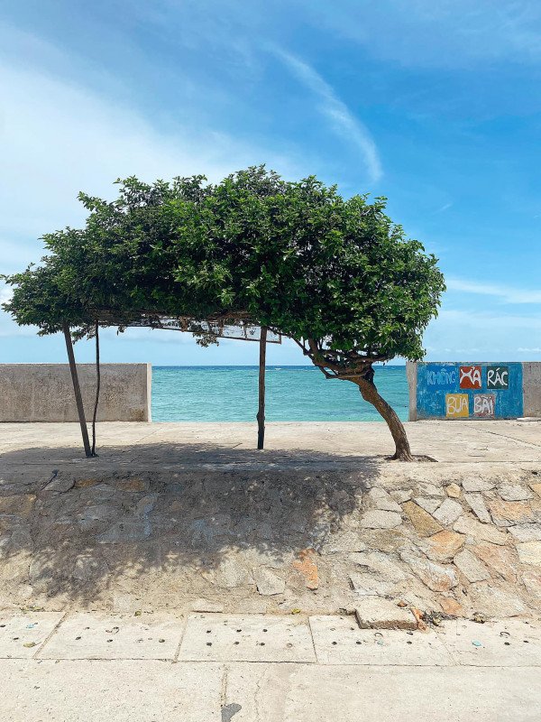 Kinh nghiệm du lịch Phan Thiết - Phú Quý 4N3Đ dành cho bạn