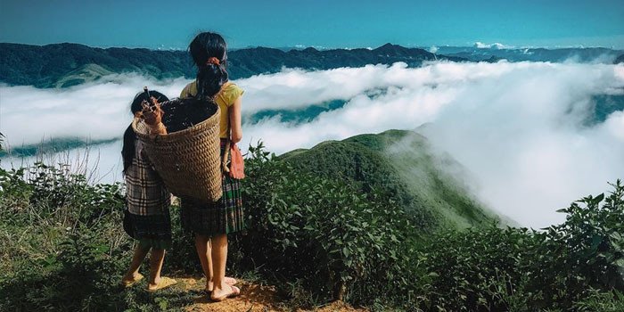 Khám phá Pu Nhi Farm -  Đà Lạt thu nhỏ mộng mơ ngay gần Hà Nội