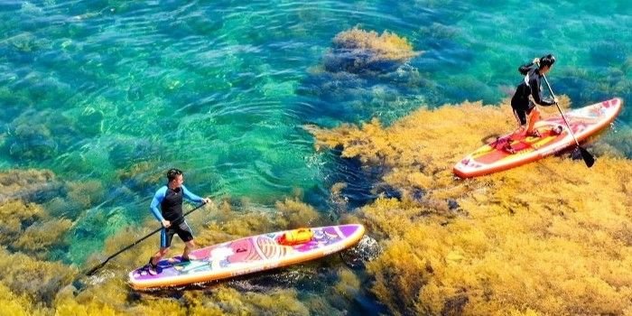 Lịch trình ăn chơi – Nghỉ dưỡng 3N2Đ ở Quy Nhơn chưa tới 3 triệu đồng