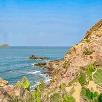 Review Quy Nhơn - Phú Yên 4 ngày 3 đêm chi tiết nhất cho bạn