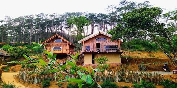 Trải nghiệm nhặt hạt dẻ tại Rosie Garden Măng Đen