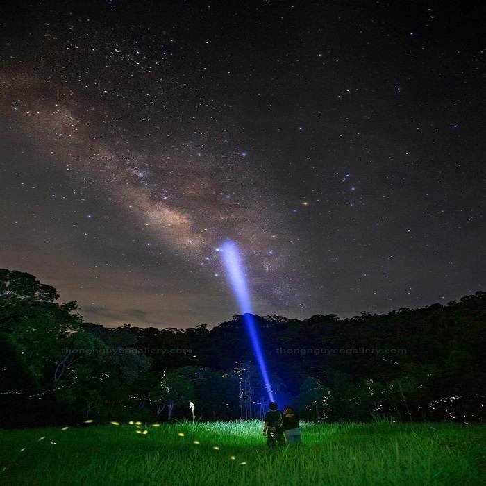 Rừng Cúc Phương – Mùa đom đóm lấp lánh đẹp mê hồn khách du lịch