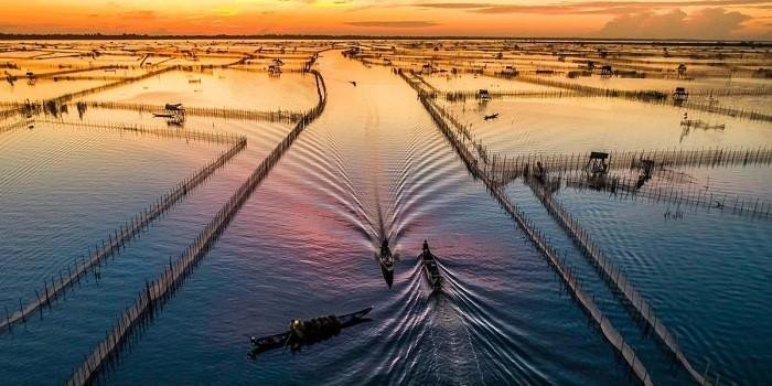 Rừng Rú Chá Huế - Địa điểm du lịch tuyệt vời cho tiết trời chớm thu