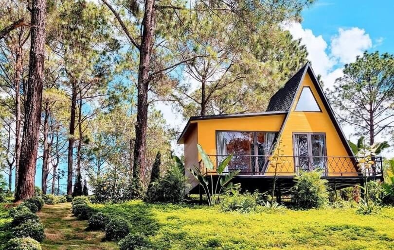 Tổng hợp kinh nghiệm du lịch rừng thông Bản Áng - Mộc Châu