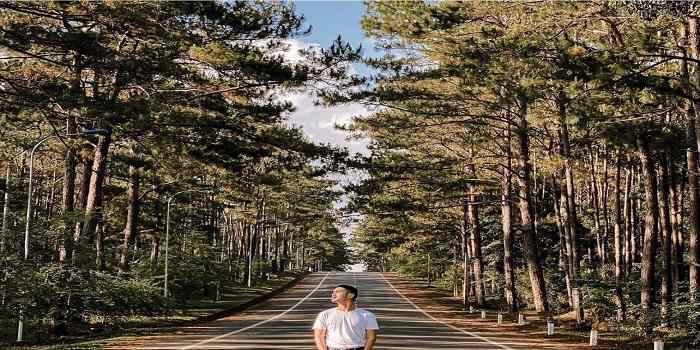 Rừng thông Măng Đen – Nét trữ tình của Kon Tum