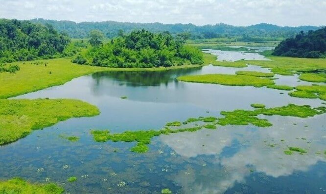 Du lịch rừng tràm Trà Sư - Khám phá du lịch xanh mát An Giang