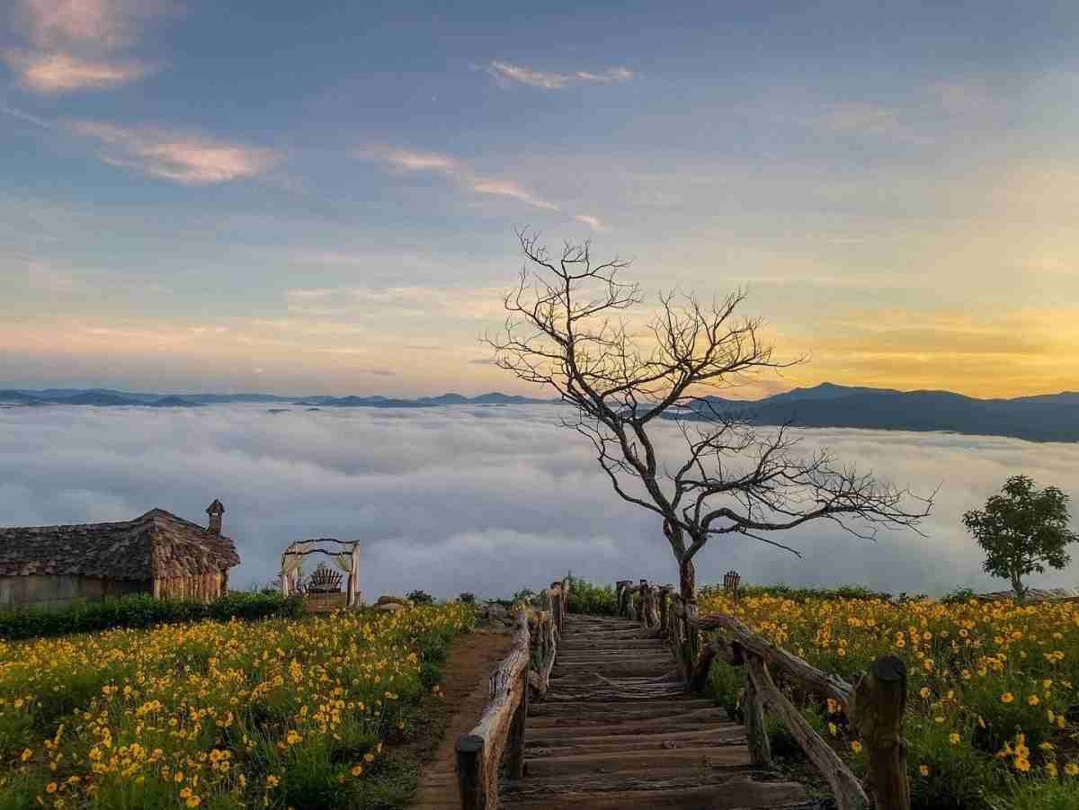 Cuối tuần này hãy lên Đà Lạt săn mây bạn nhé