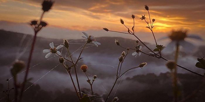 Săn mây Măng Đen (Kon Tum) – Hướng dẫn chi tiết cho các tín đồ du lịch