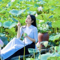 Du lịch Ninh Bình mùa sen nở