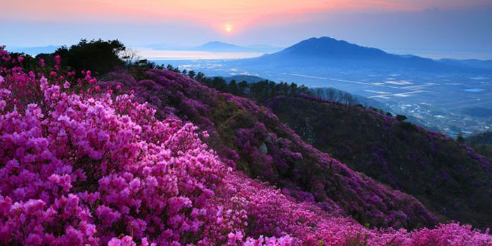 Trekking Tả Liên Sơn - Cung đường cổ tích