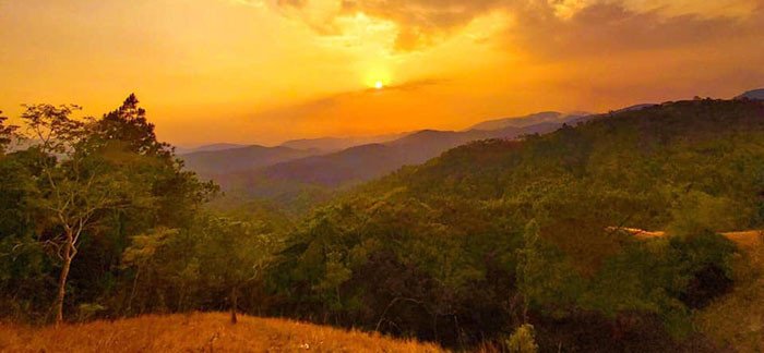 Khám phá và trekking tại rừng Tà Năng - Phan Dũng