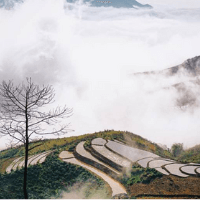 Review Tà Xùa 2N1Đ chỉ với 500k