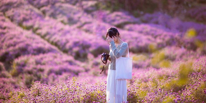 Khám phá vườn hoa bách nhật: Điểm check in mới toanh cho người mê sống ảo ở Hà Nội