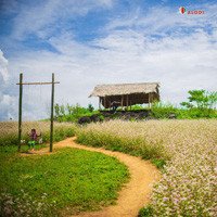 Khám phá thảo nguyên Suôi Thầu -  Thụy Sĩ thu nhỏ giữa lòng Hà Giang