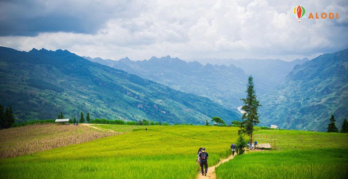 Khám phá thảo nguyên Suôi Thầu -  Thụy Sĩ thu nhỏ giữa lòng Hà Giang