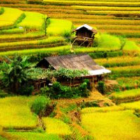 Reveiw Sapa 2 ngày 1 đêm