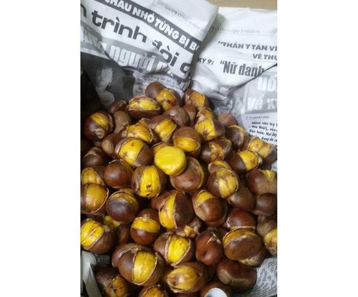 Trải nghiệm nhặt hạt dẻ tại Rosie Garden Măng Đen