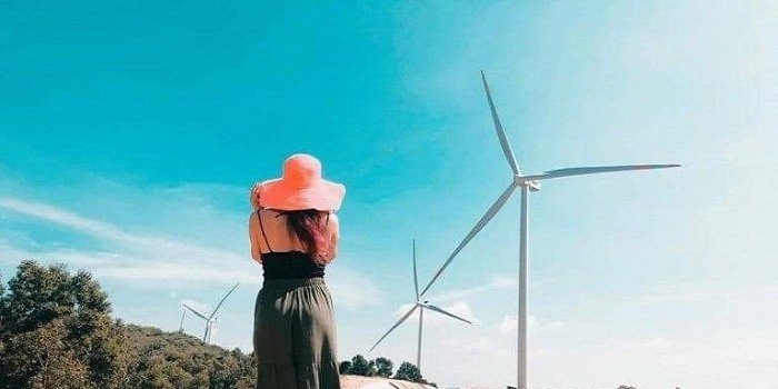TOP 03 cánh đồng quạt gió cực Âu ngay tại Bình Thuận