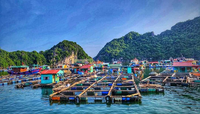Làng chài cửa Vạn - Khám phá một làng chài yên bình tại Quảng Ninh