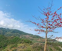 Tour 4N2Đ trải nghiệm từ Hà Giang - Cao Bằng