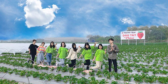 Chimi Farm - Vườn dâu tây Hà Nội hot hit nhất hiện nay
