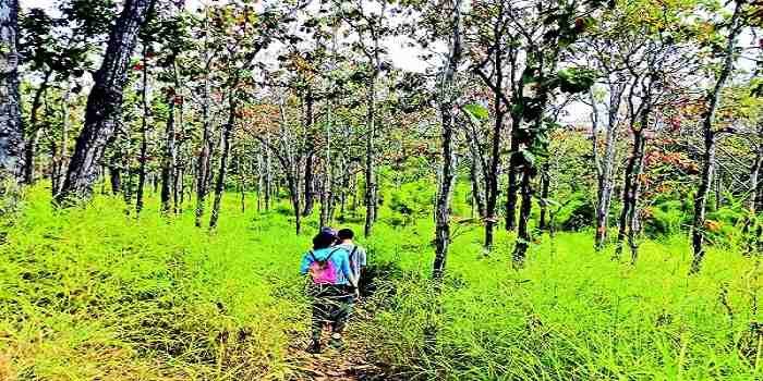 Trekking rừng khộp Bản Đôn – Một trải nghiệm đáng nhớ