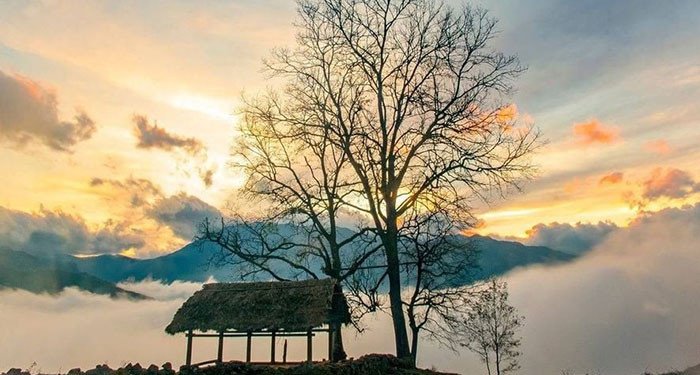 Review trekking núi Lảo Thẩn - nóc nhà Y Tý tại Lào Cai