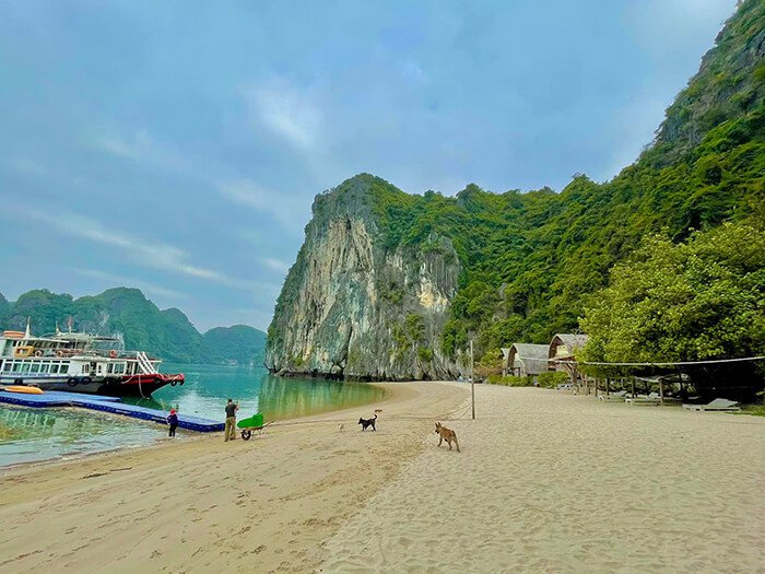 Vịnh Lan Hạ với tên gọi " đảo ngọc thiên đường " tại Hải Phòng