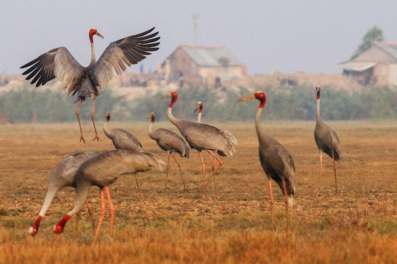 Vườn quốc gia Lò Gò Xa Mát - Điểm đến thú vị của tỉnh Tây Ninh