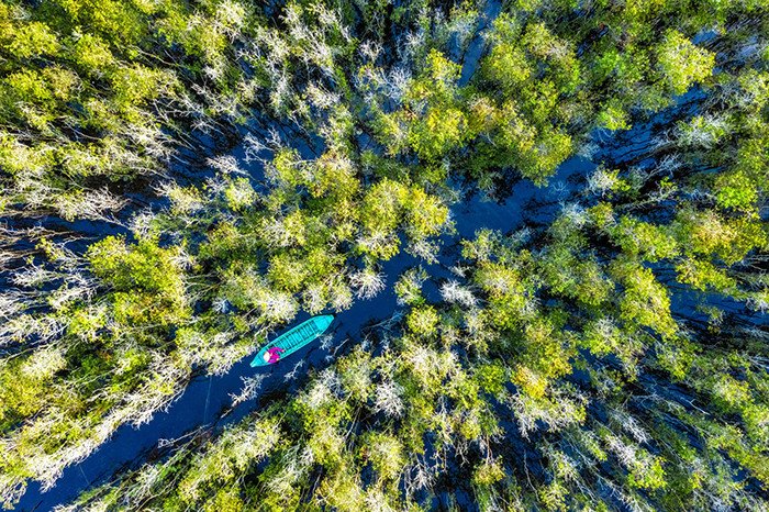 Khu du lịch Đồng Tháp