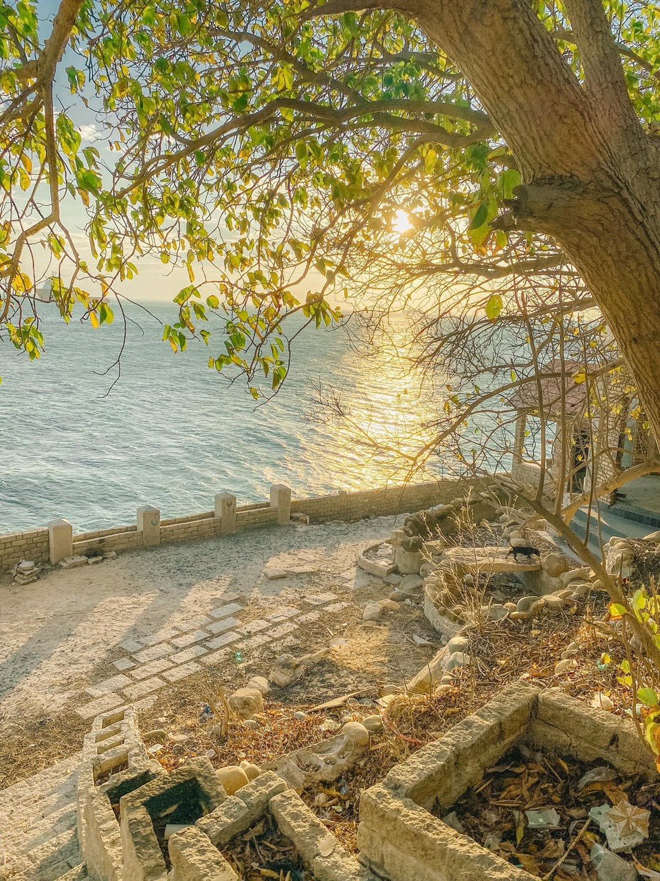 Thời tiết Vũng Tàu hôm nay